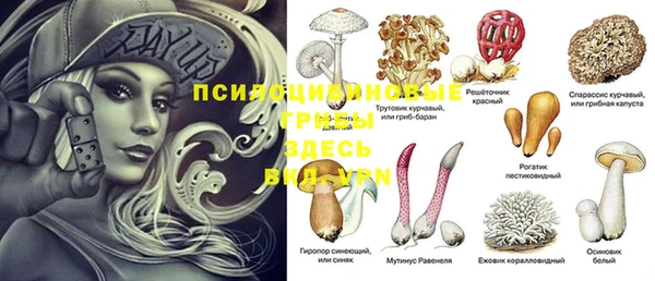 мяу мяу кристалл Горно-Алтайск