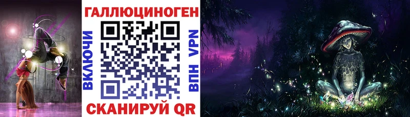 как найти закладки  Мценск  Галлюциногенные грибы Psilocybine cubensis 